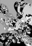  photoshop