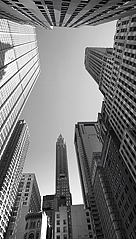   2012  