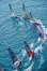  2013   Sailing