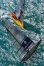   Sailing