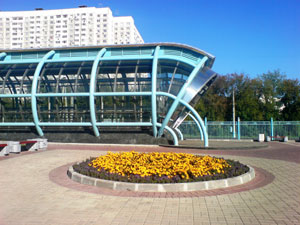 Разработка веб-сайта.